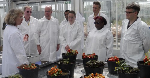 Exhibits at NIAB Innovation Farm