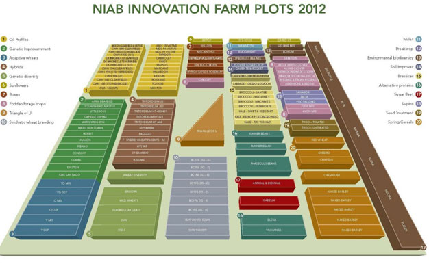 Farm Plots 2012