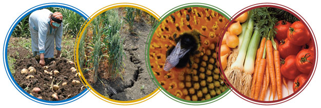 Support NIAB Innovation Farm